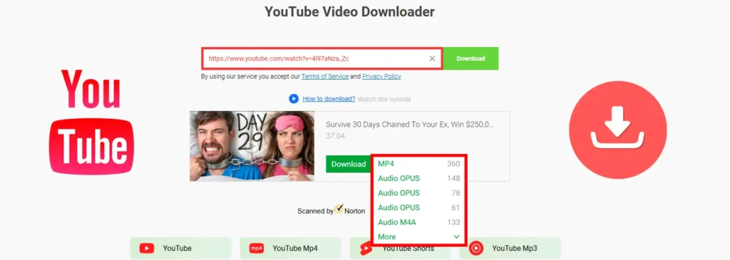 A user pasting a video link and choosing the download quality.