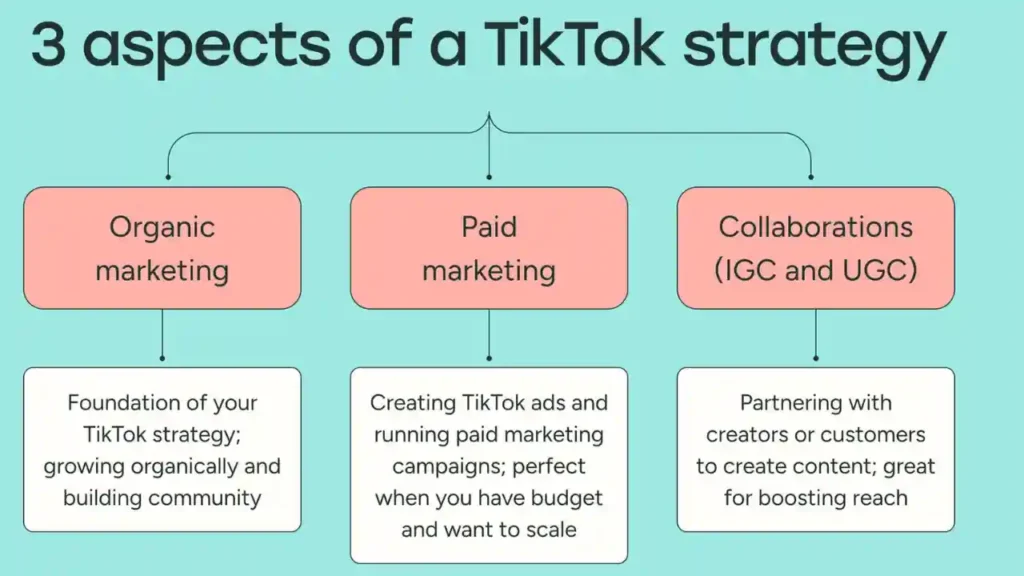 Strategies for Creating High-Performing TikTok Content