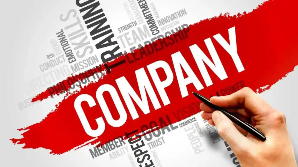 Top 15 Video Companies