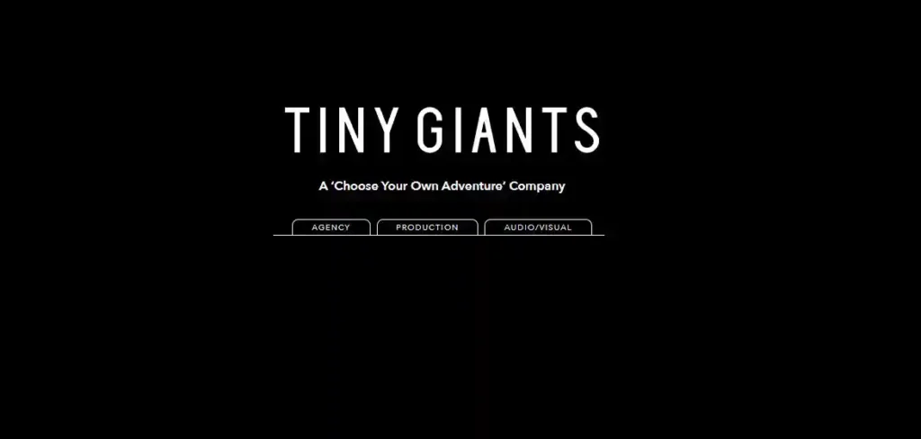 Designers and videographers collaborating at Tiny Giants Co video studio.