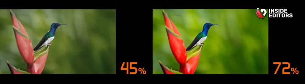 Display Quality and Color Accuracy