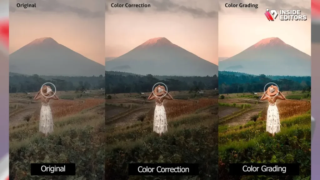 Conclusion: The Art and Science of Visual Storytelling