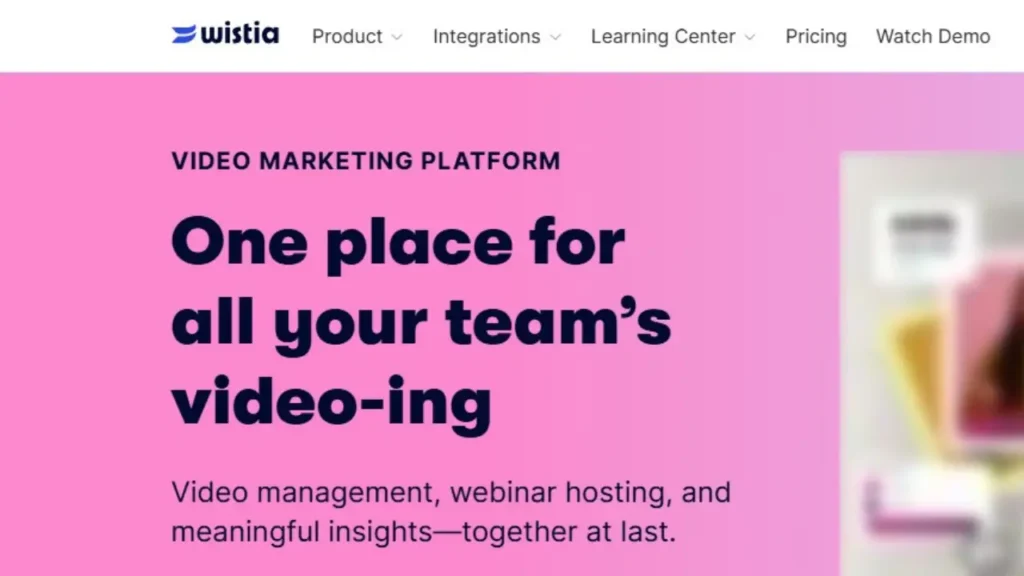 Wistia – Branding and Insight Driven